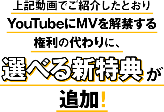 上記動画ご紹介したとおりYoutubeにMVを解禁する権利の代わりに、選べる新特典が追加！