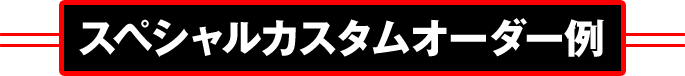 スペシャルカスタムオーダー例